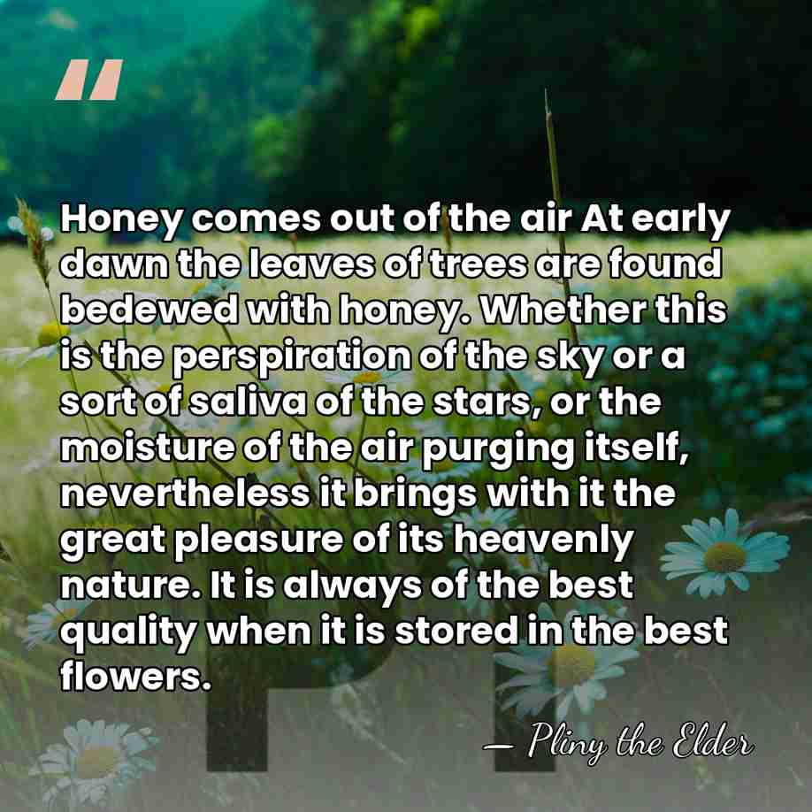 Honey comes out of the air At early dawn the leaves of&hellip; - Pliny the Elder