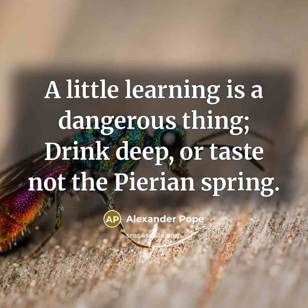 “A little learning is a dangerous thing; Drink deep, or…” quote by Alexander Pope