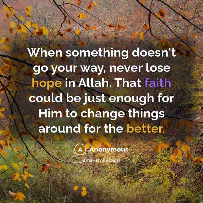“When something doesn't go your way, never lose hope in Allah. That faith could be just enough for Him to change things around for the better.” quote by Anonymous