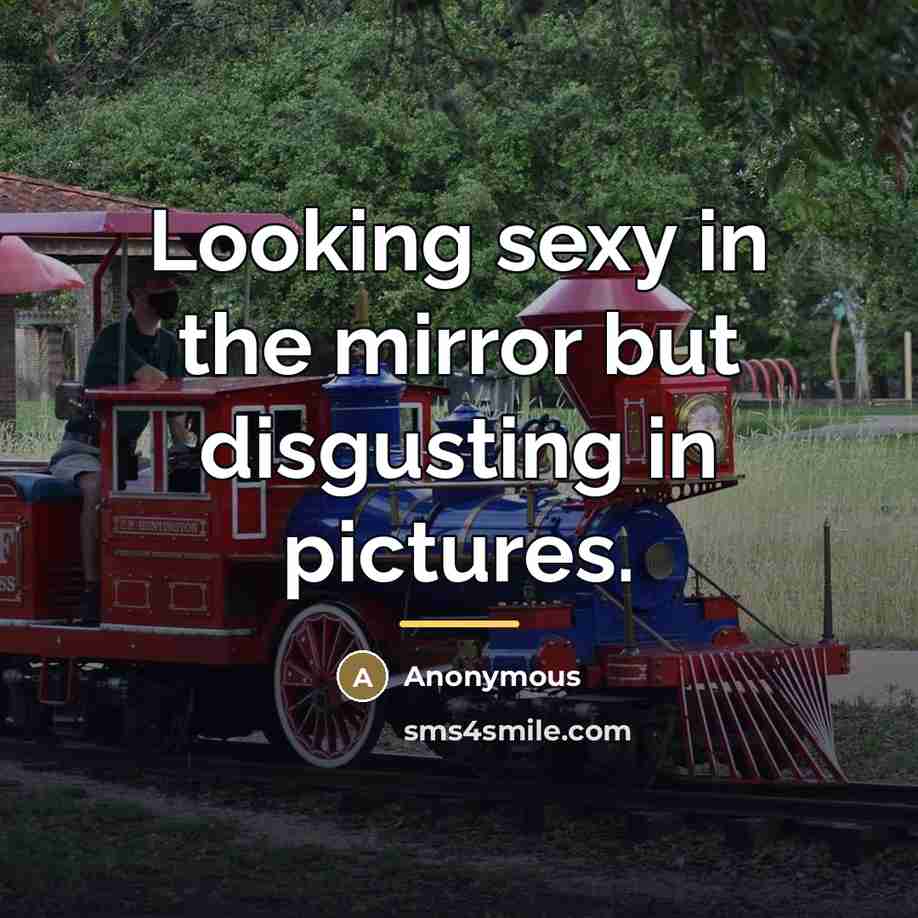 “Looking sexy in the mirror but disgusting in pictures.…” quote by Anonymous