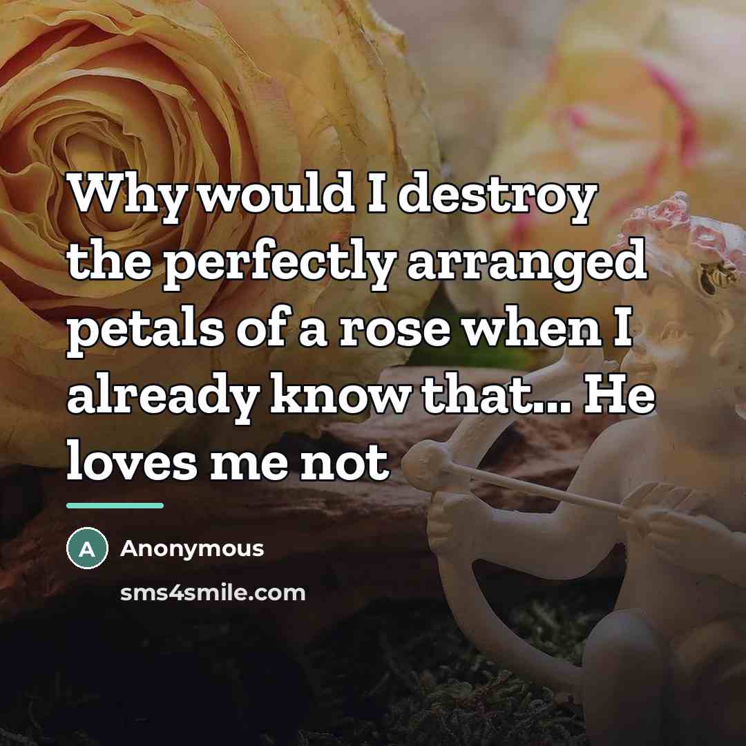 “Why would I destroy the perfectly arranged petals of a…” quote by Anonymous