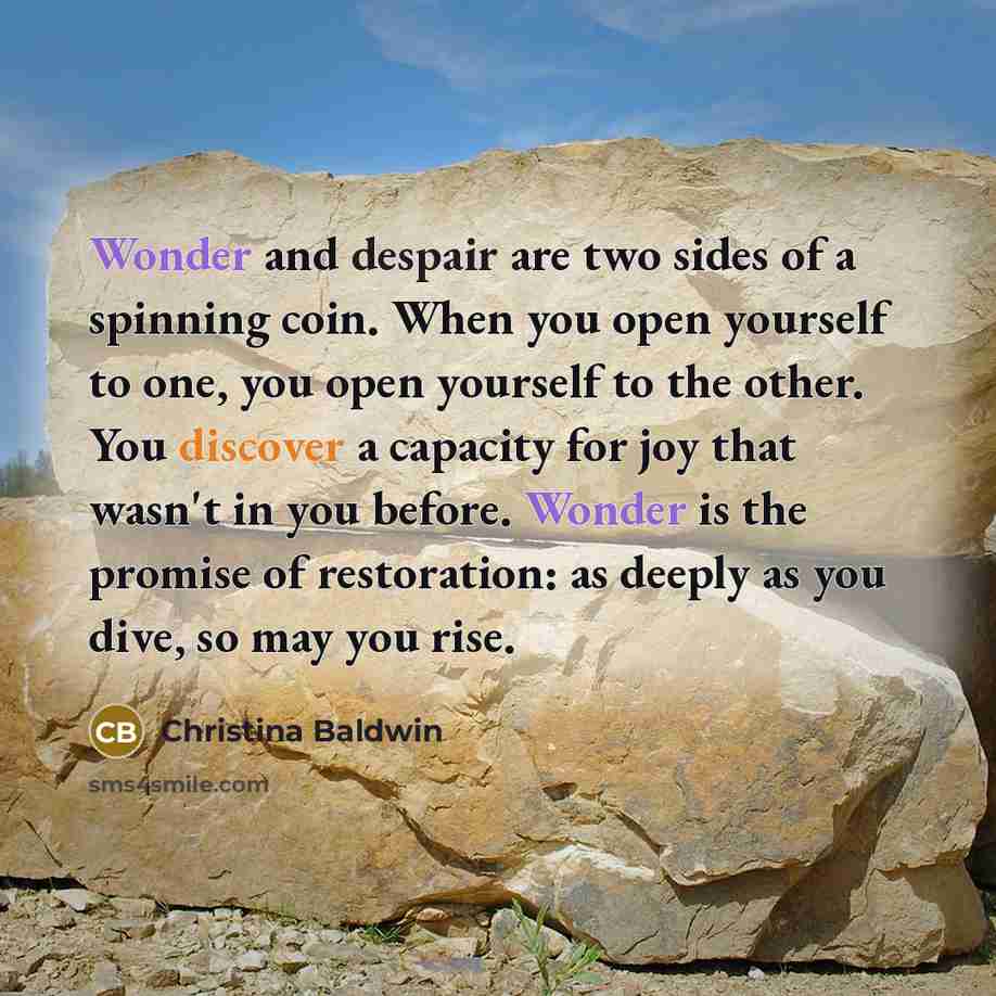 “Wonder and despair are two sides of a spinning coin.…” quote by Christina Baldwin