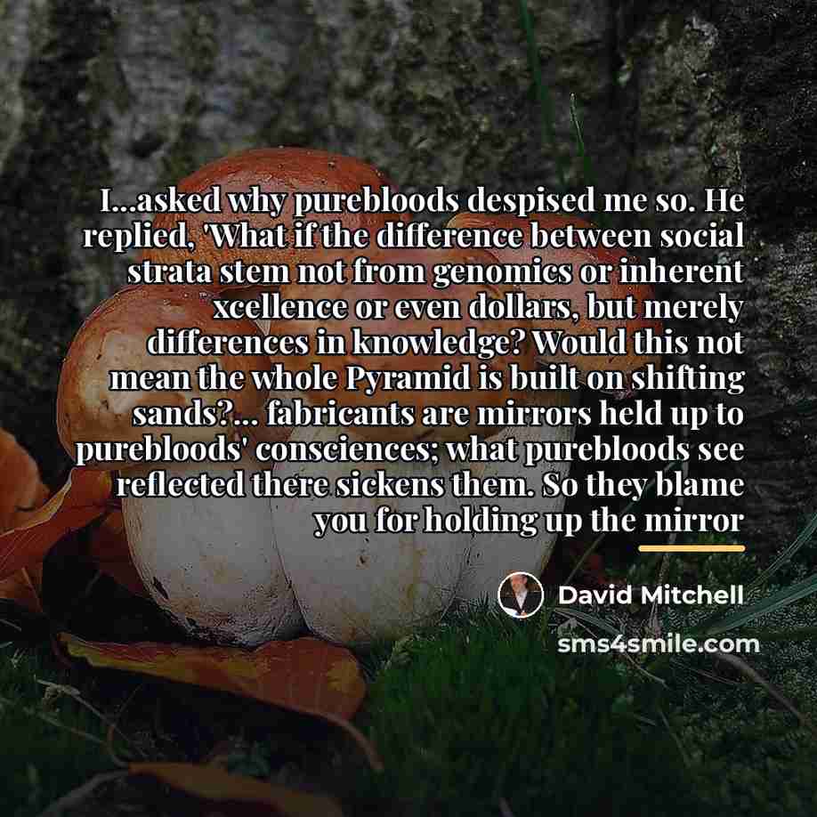 “I...asked why purebloods despised me so. He replied, 'What if…” quote by David Mitchell