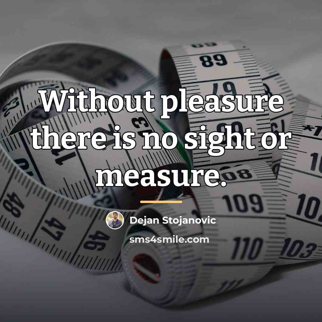 “Without pleasure there is no sight or measure.…” quote by Dejan Stojanovic