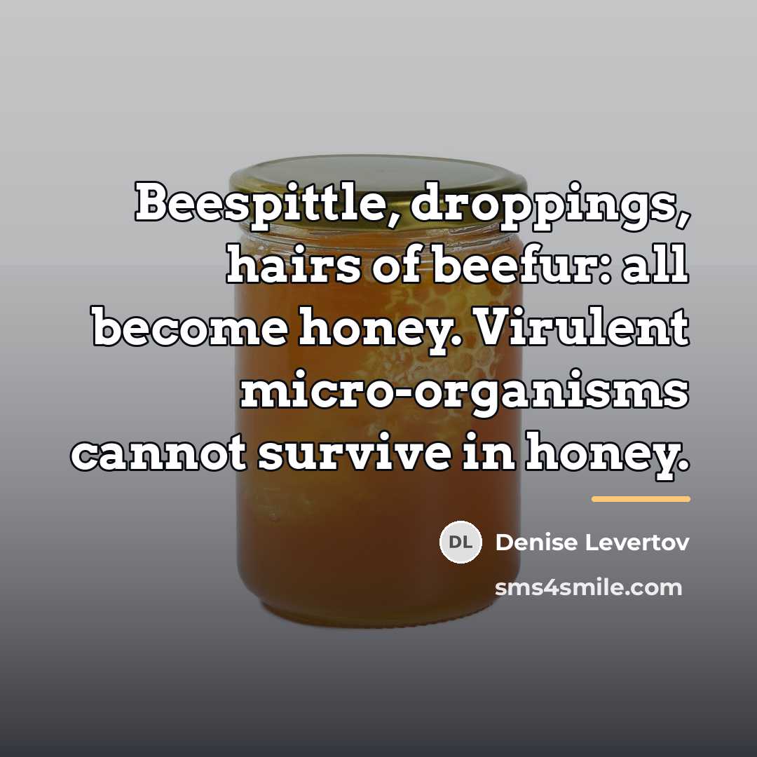 “Beespittle, droppings, hairs of beefur: all become honey. Virulent micro-organisms…” quote by Denise Levertov
