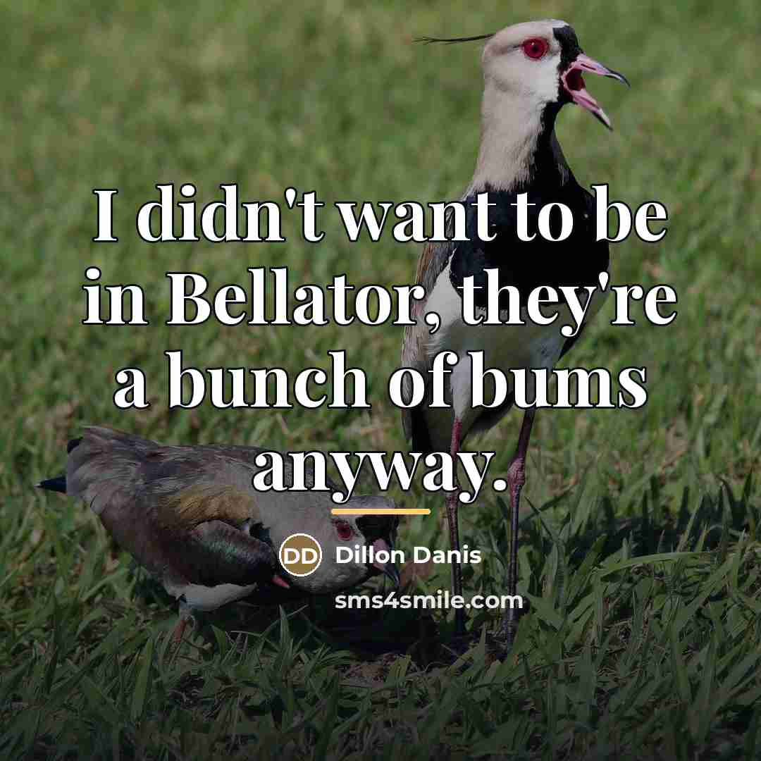 “I didn't want to be in Bellator, they're a bunch…” quote by Dillon Danis