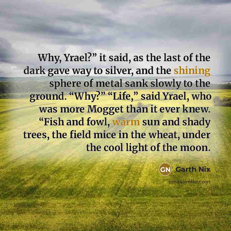 “Why, Yrael?” it said, as the last of the dark…” quote by Garth Nix