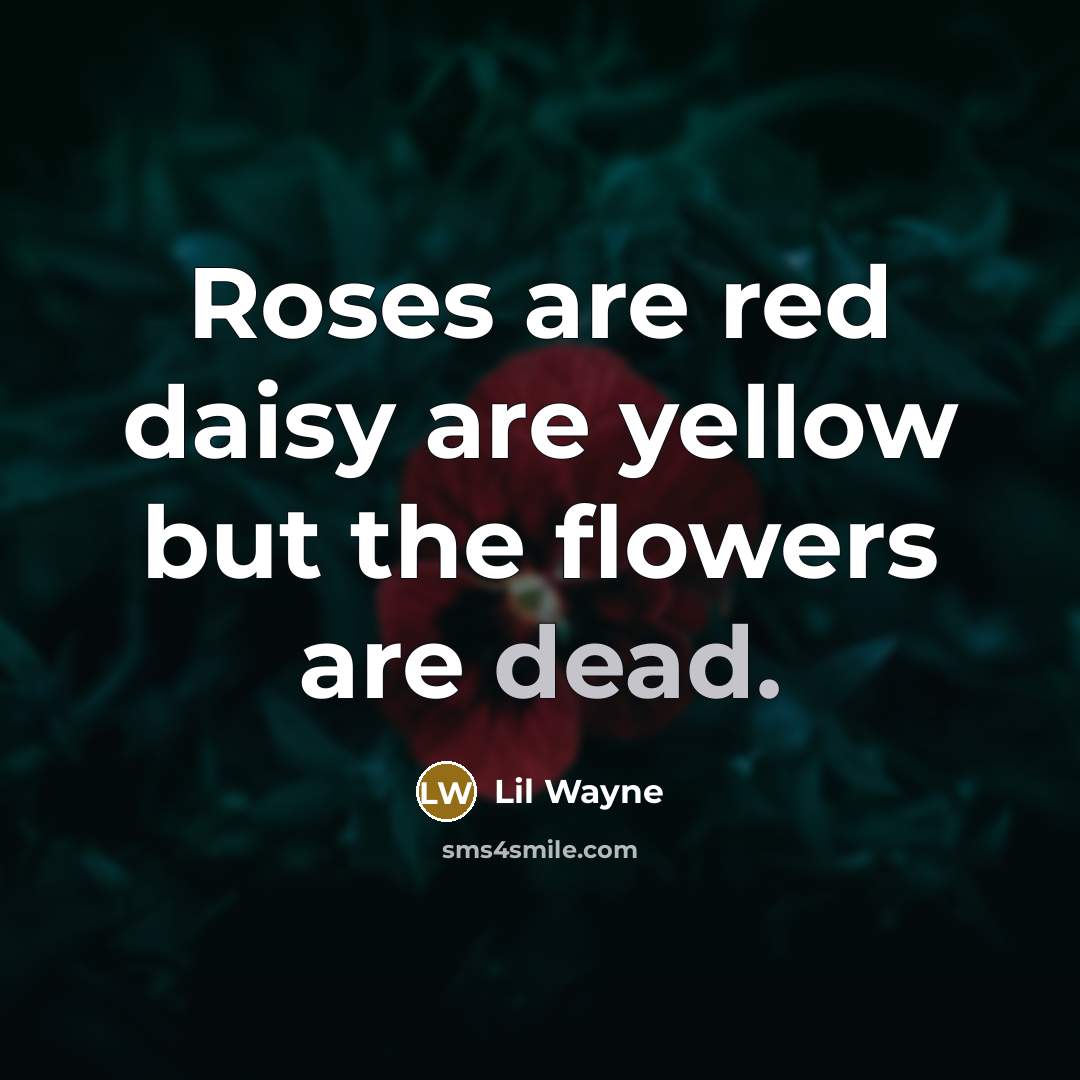 “Roses are red daisy are yellow but the flowers are…” quote by Lil Wayne