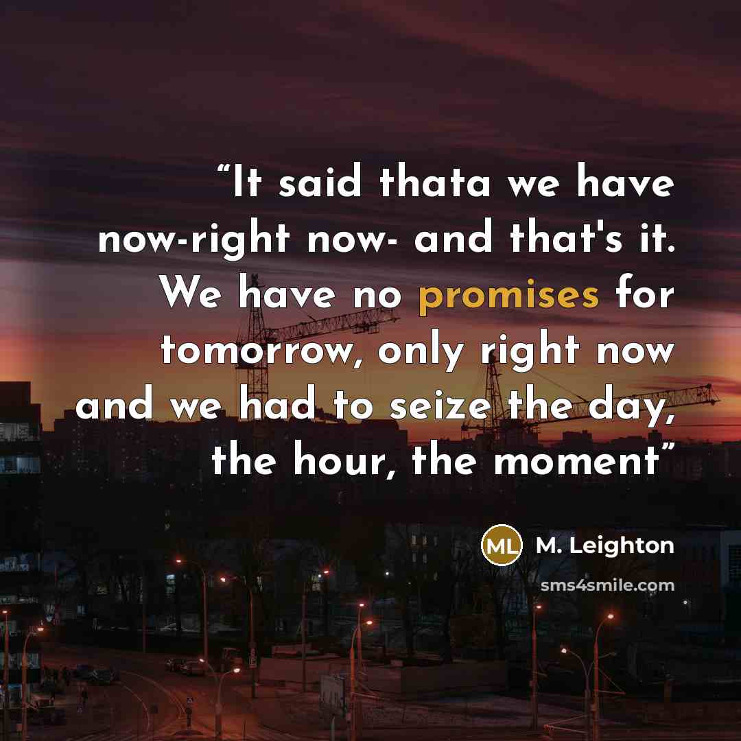 “It said thata we have now-right now- and that's it. We have no promises for tomorrow, only right now and we had to seize the day, the hour, the moment” quote by M. Leighton
