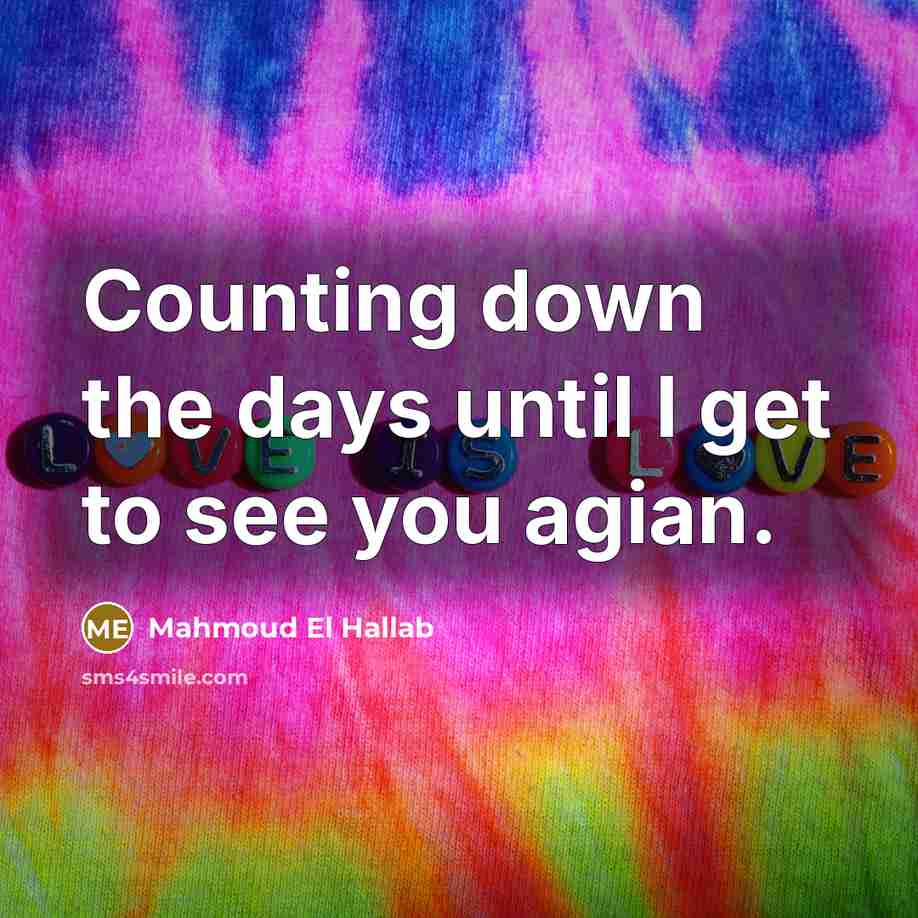 “Counting down the days until I get to see you agian.” quote by Mahmoud El Hallab
