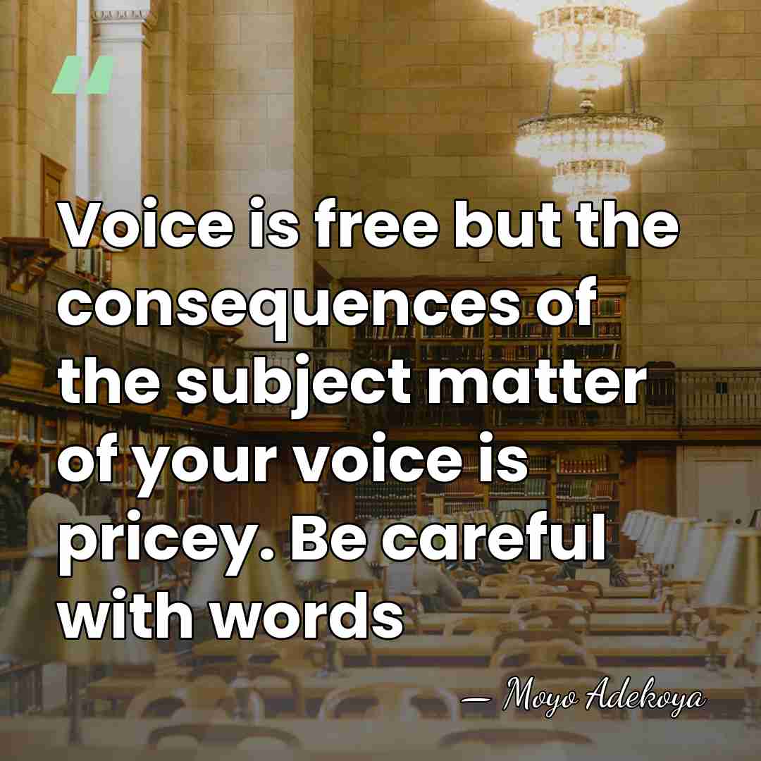 Voice is free but the consequences of the subject matter of your&hellip; - Moyo Adekoya