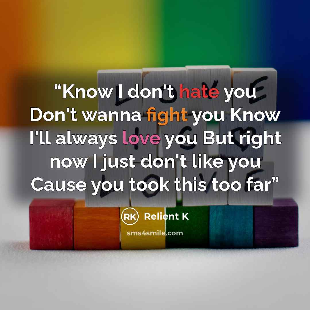 “Know I don't hate you Don't wanna fight you Know I'll always love you But right now I just don't like you Cause you took this too far” quote by Relient K