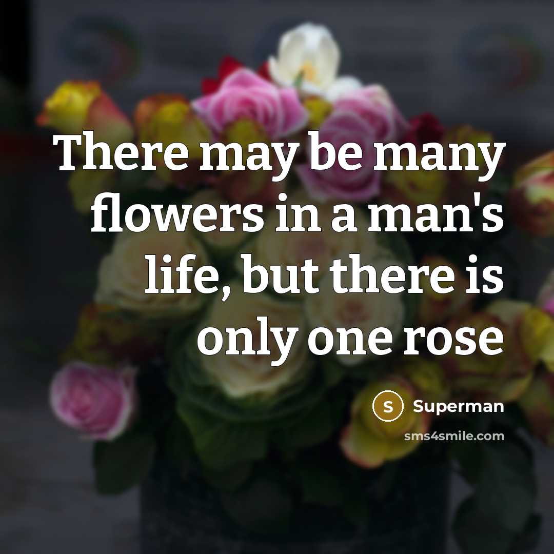 “There may be many flowers in a man's life, but…” quote by Superman