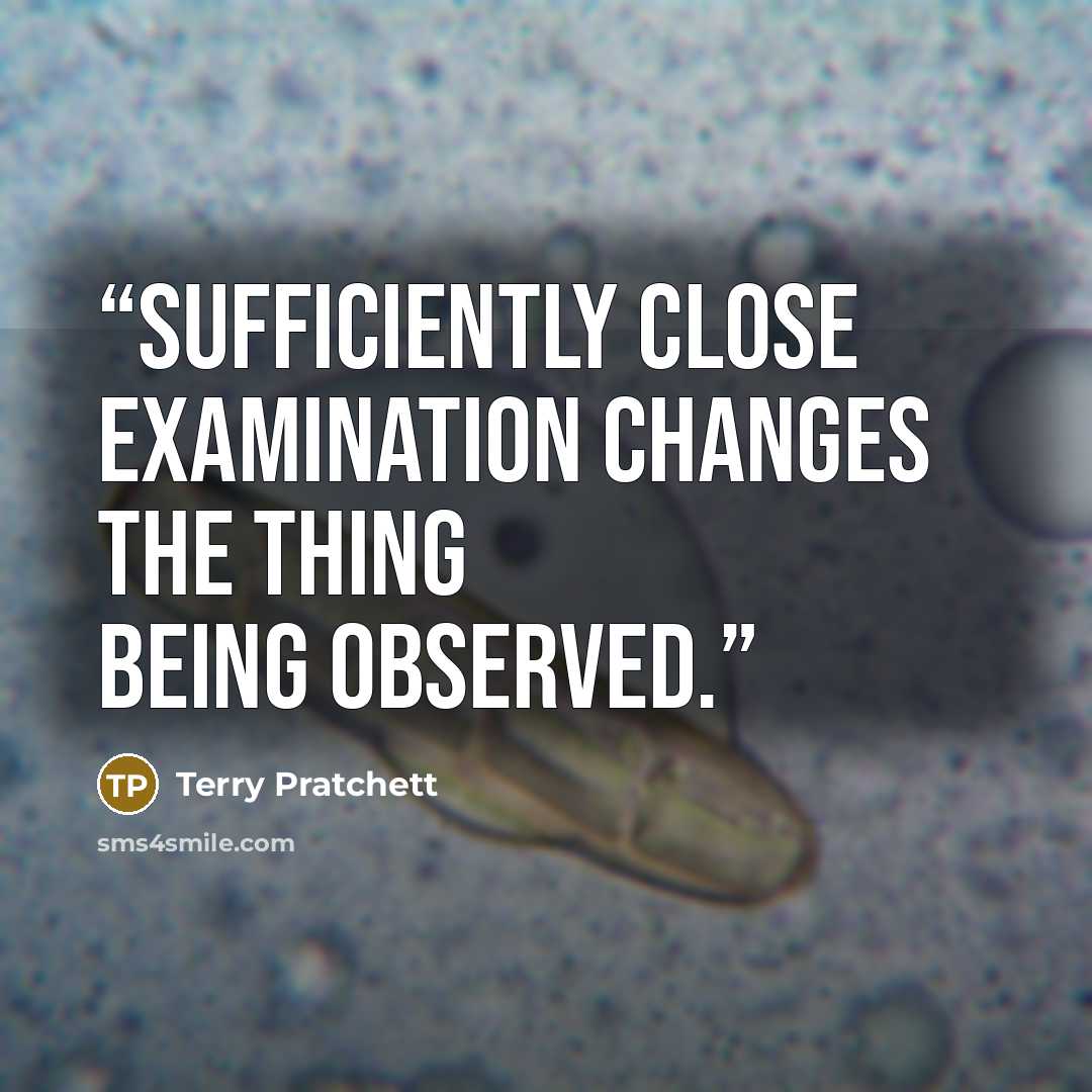 “Sufficiently close examination changes the thing being observed.” quote by Terry Pratchett