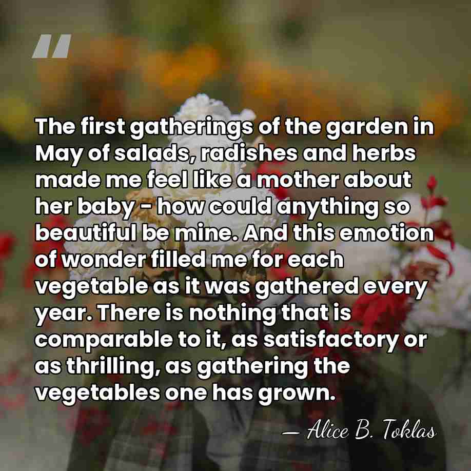 The first gatherings of the garden in May of salads, radishes and&hellip; - Alice B. Toklas