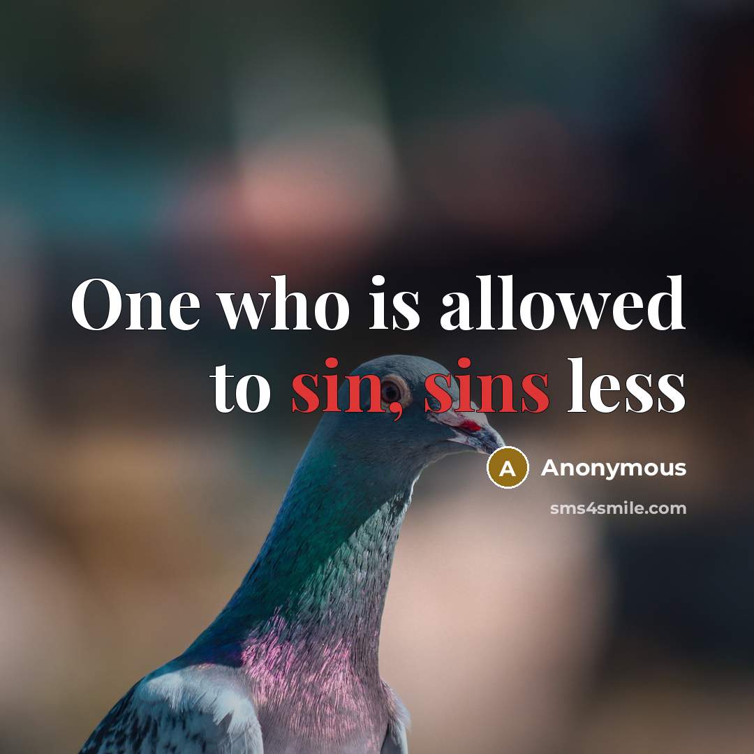 “One who is allowed to sin, sins less” quote by Anonymous