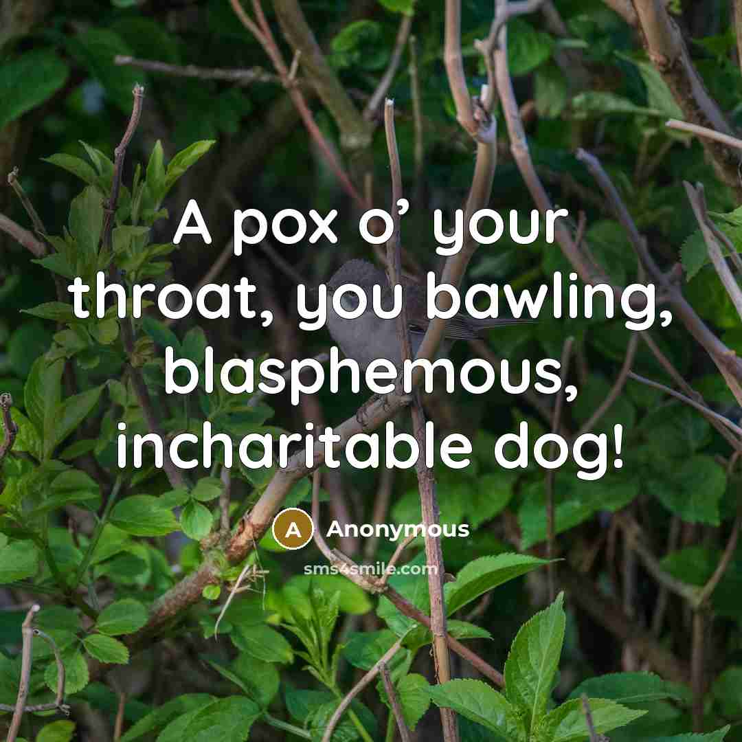“A pox o’ your throat, you bawling, blasphemous, incharitable dog!” quote by Anonymous