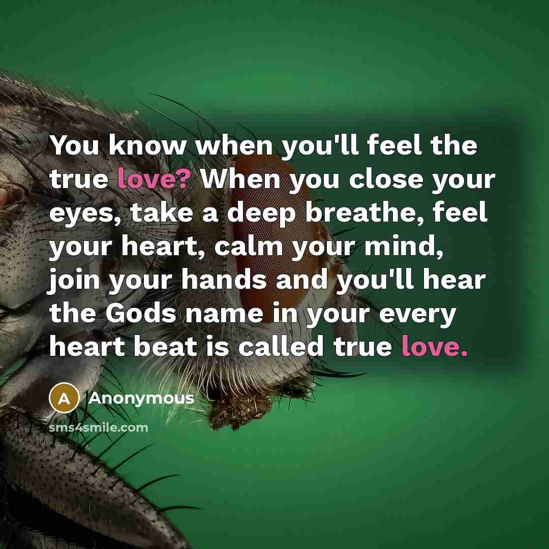 “You know when you'll feel the true love? When you…” quote by Anonymous