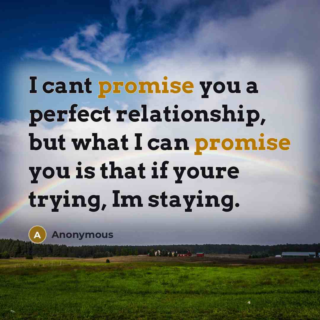 “I cant promise you a perfect relationship, but what I…” quote by Anonymous