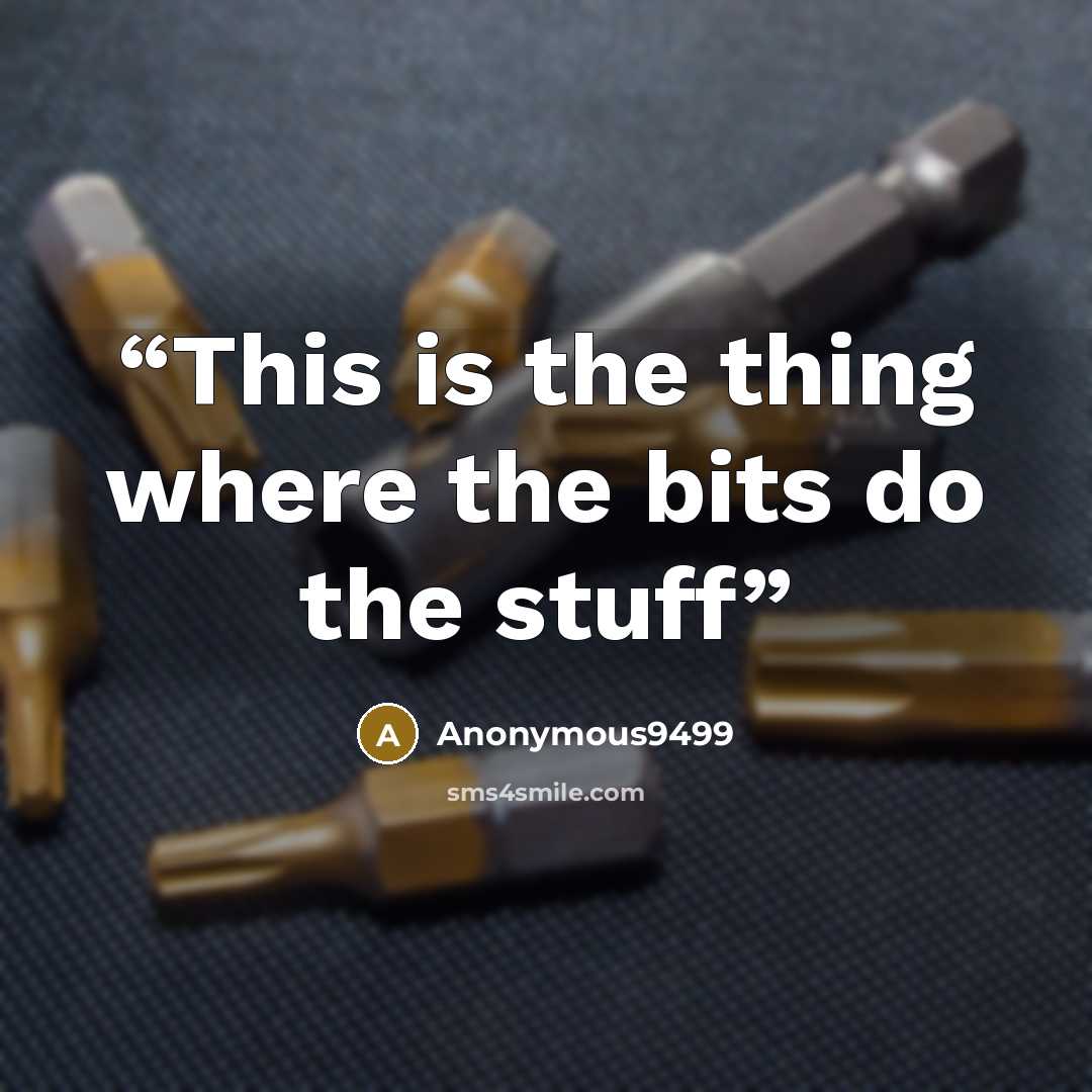 “This is the thing where the bits do the stuff” quote by Anonymous9499