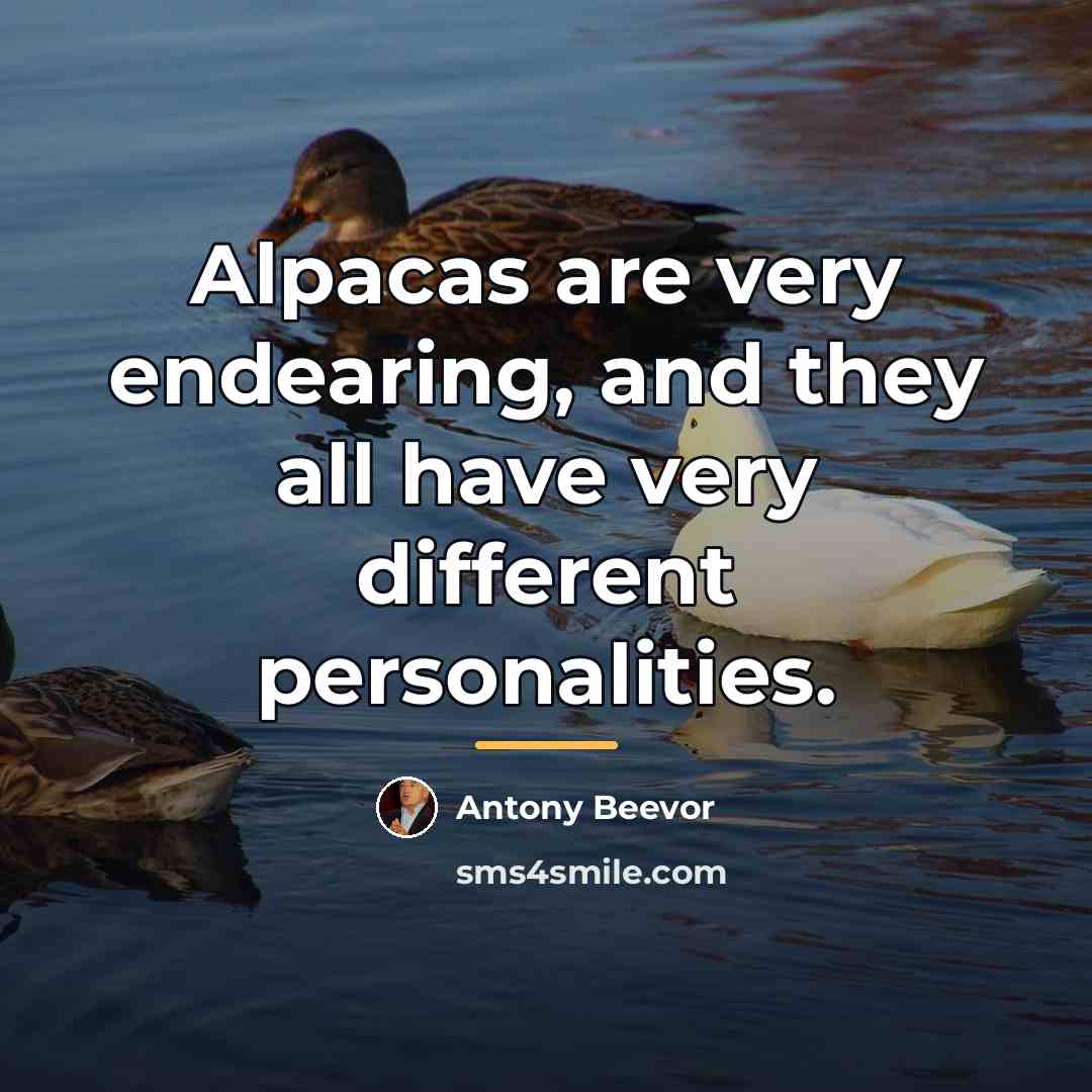 “Alpacas are very endearing, and they all have very different…” quote by Antony Beevor