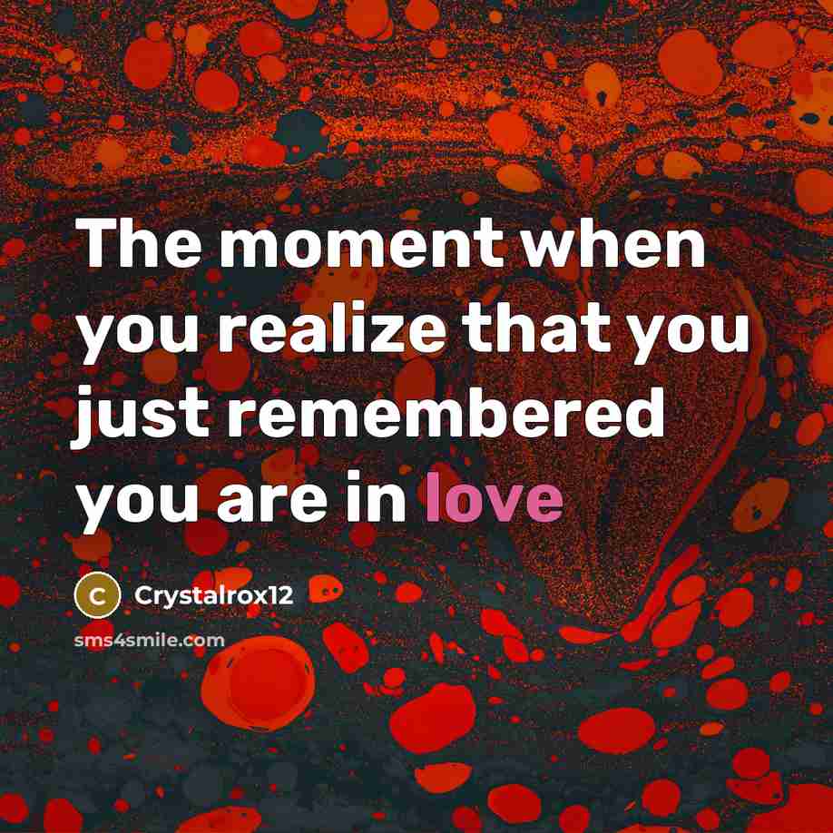 “The moment when you realize that you just remembered you…” quote by Crystalrox12