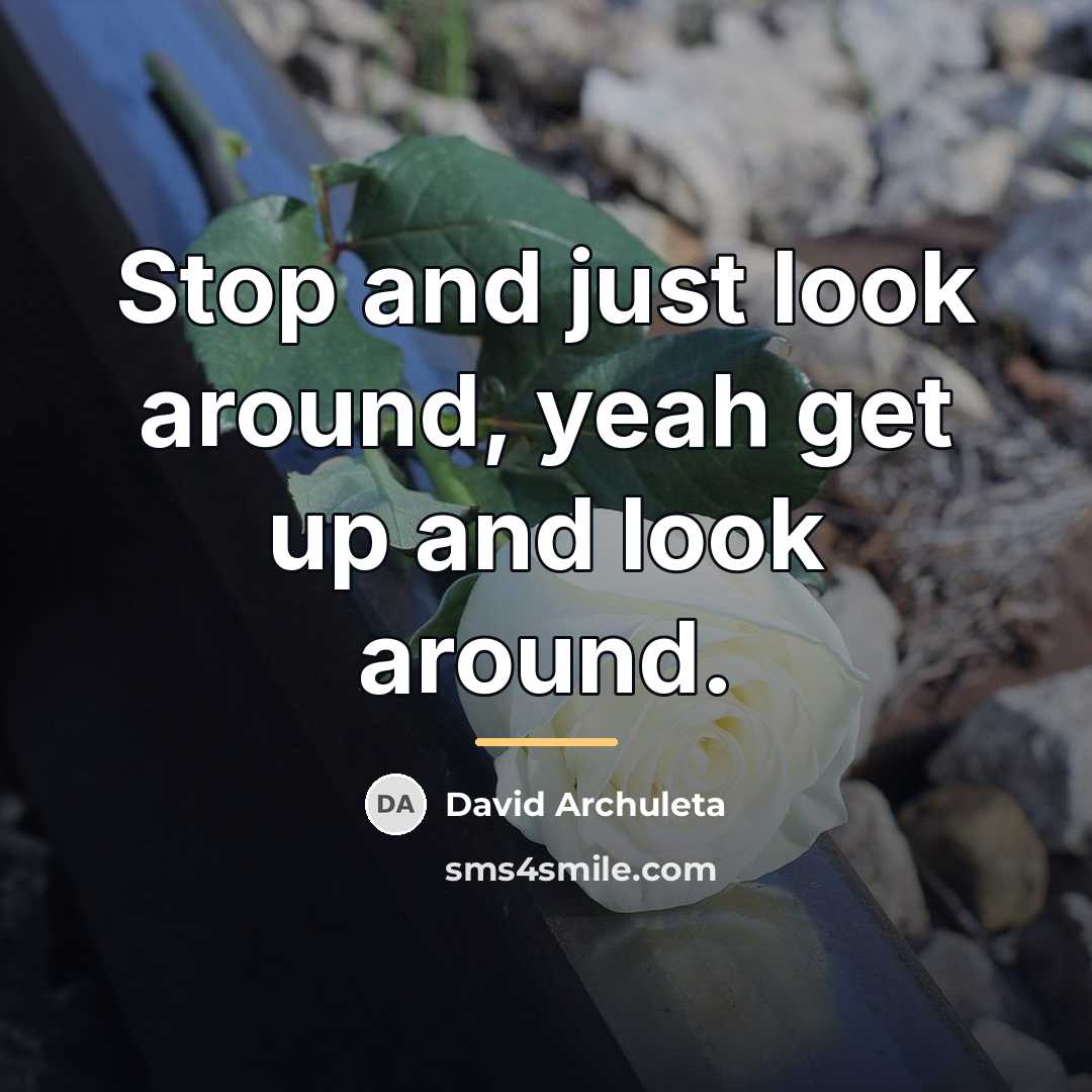 “Stop and just look around, yeah get up and look…” quote by David Archuleta