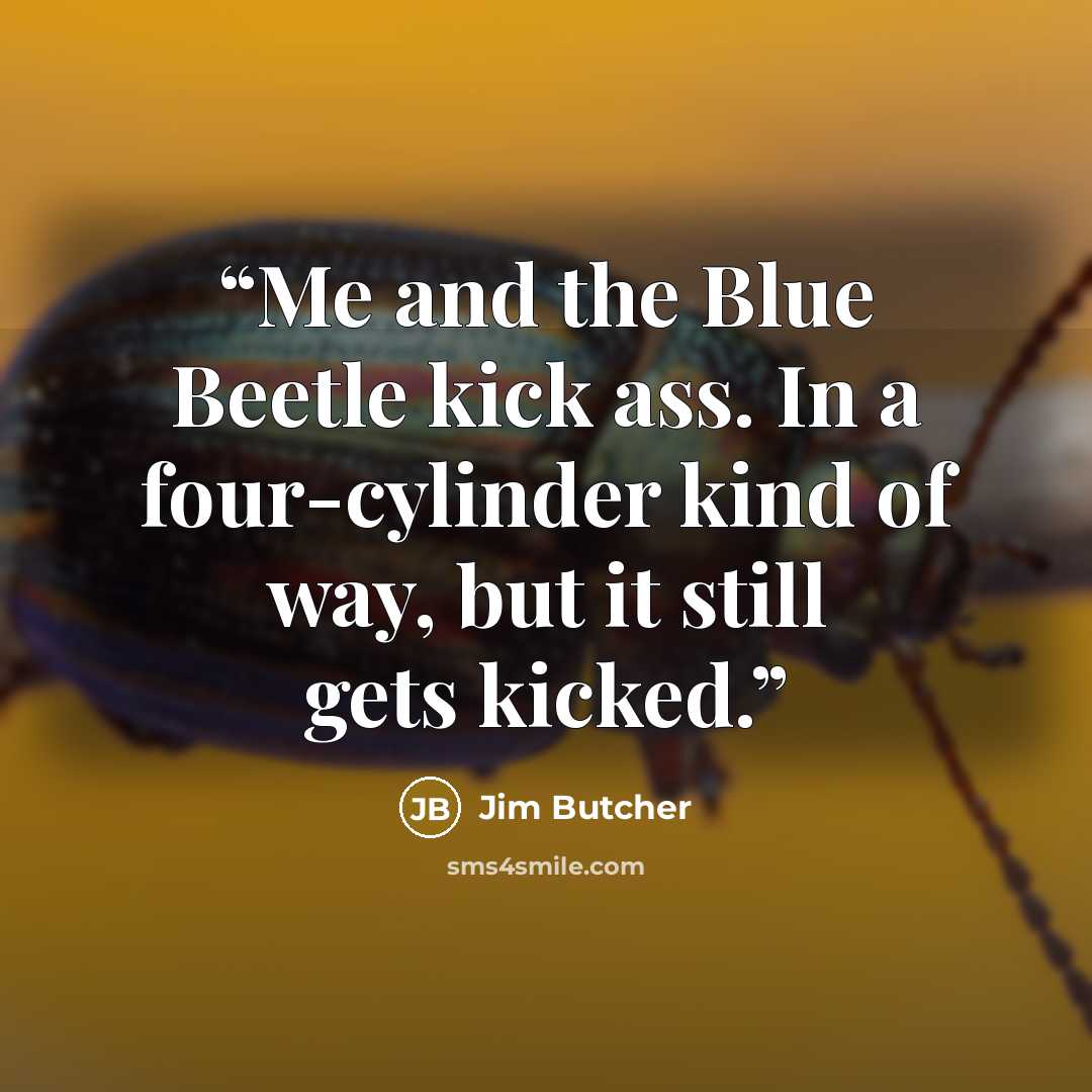 “Me and the Blue Beetle kick ass. In a four-cylinder kind of way, but it still gets kicked.” quote by Jim Butcher