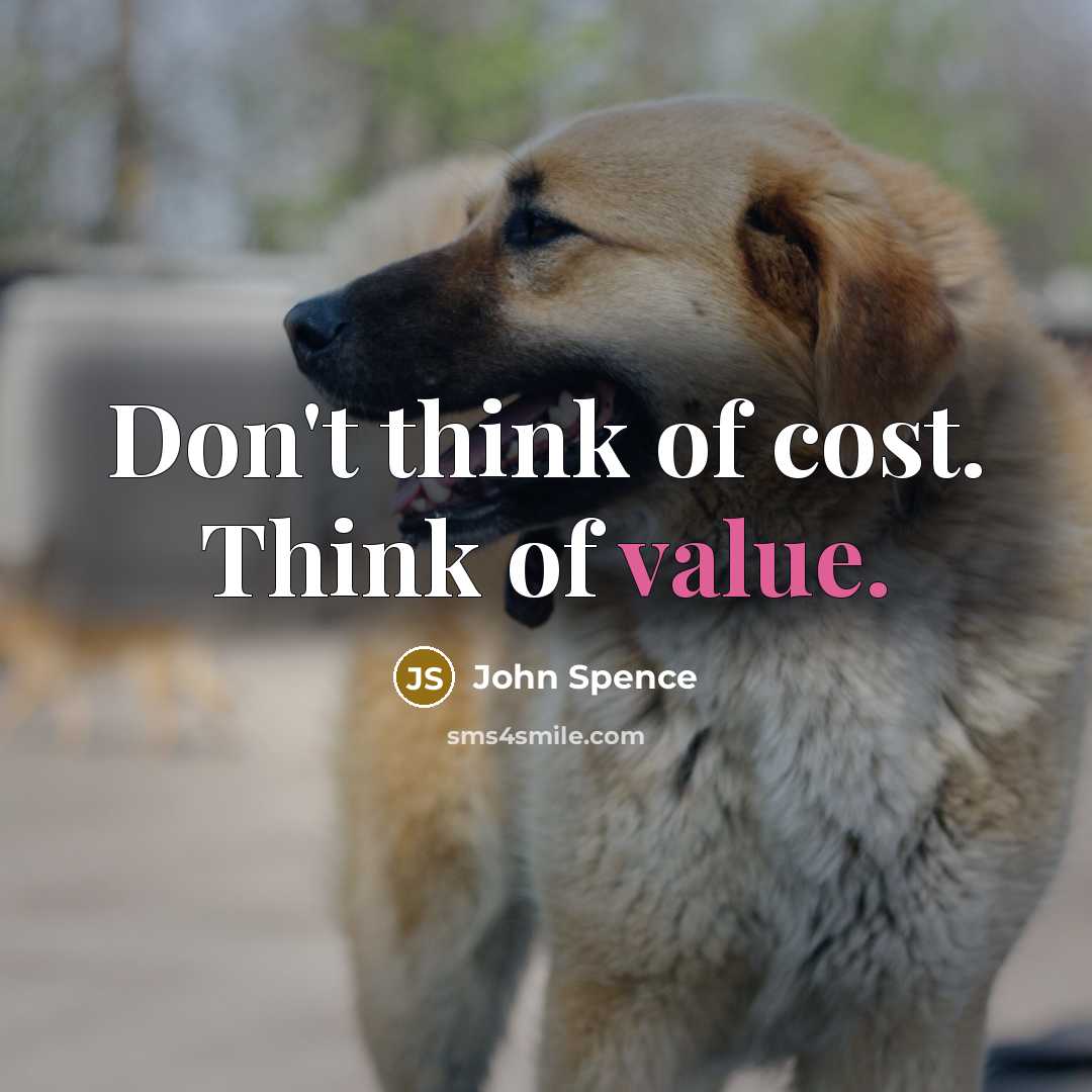 “Don't think of cost. Think of value.…” quote by John Spence