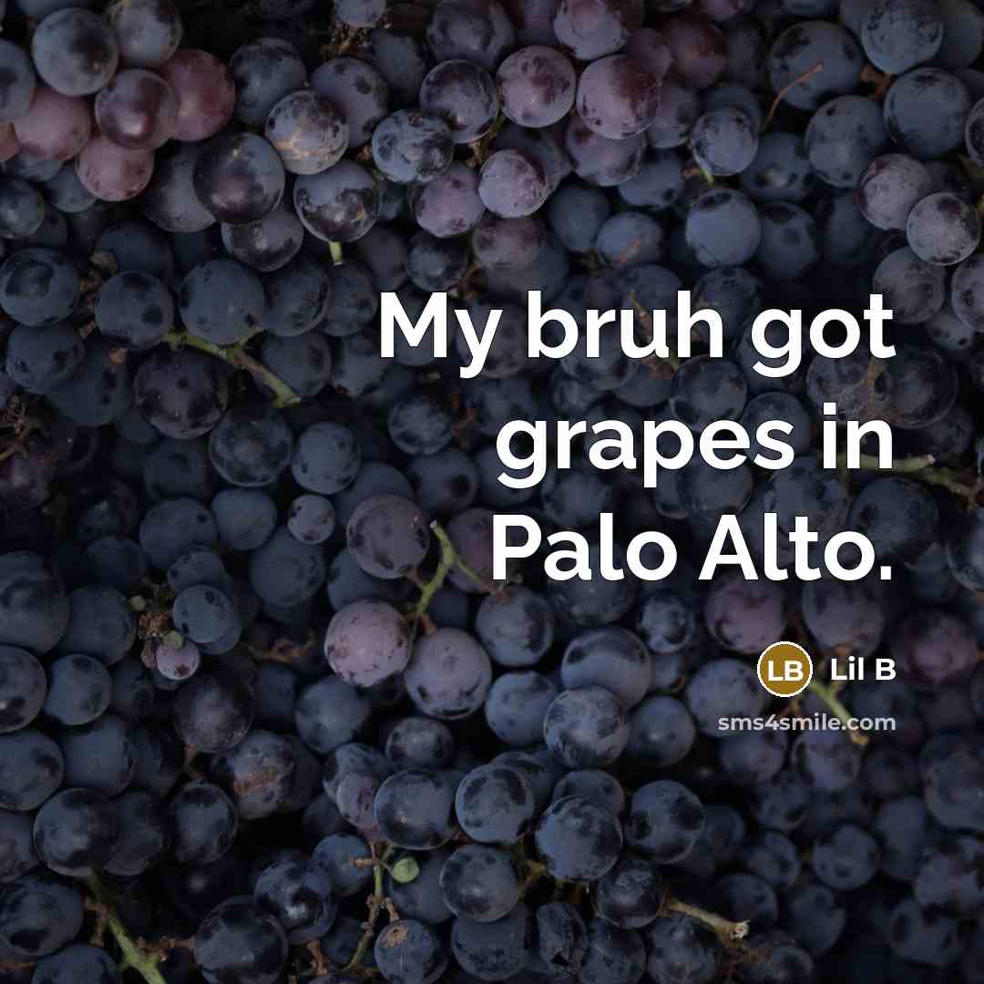 “My bruh got grapes in Palo Alto.…” quote by Lil B