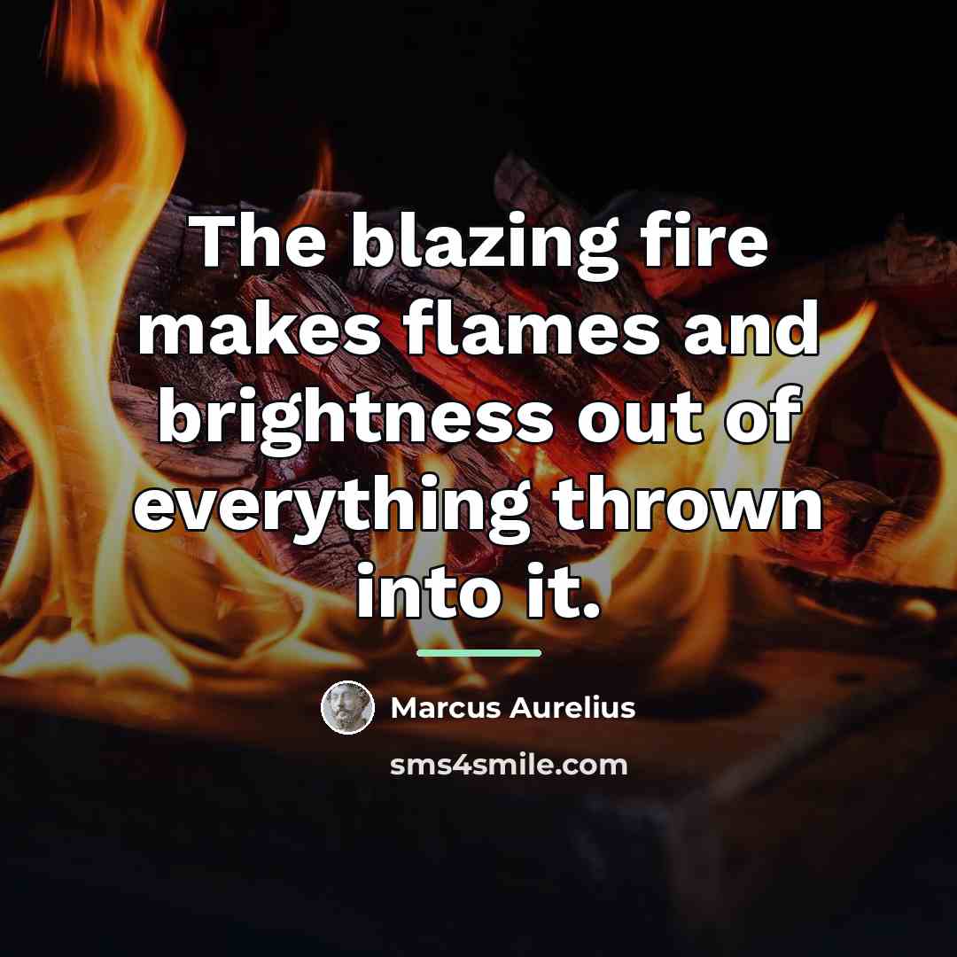 “The blazing fire makes flames and brightness out of everything…” quote by Marcus Aurelius