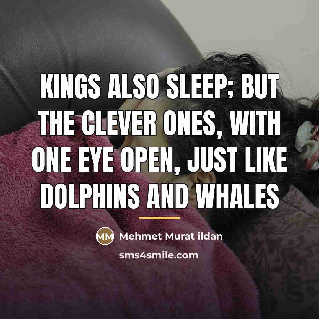 “Kings also sleep; but the clever ones, with one eye…” quote by Mehmet Murat Ildan