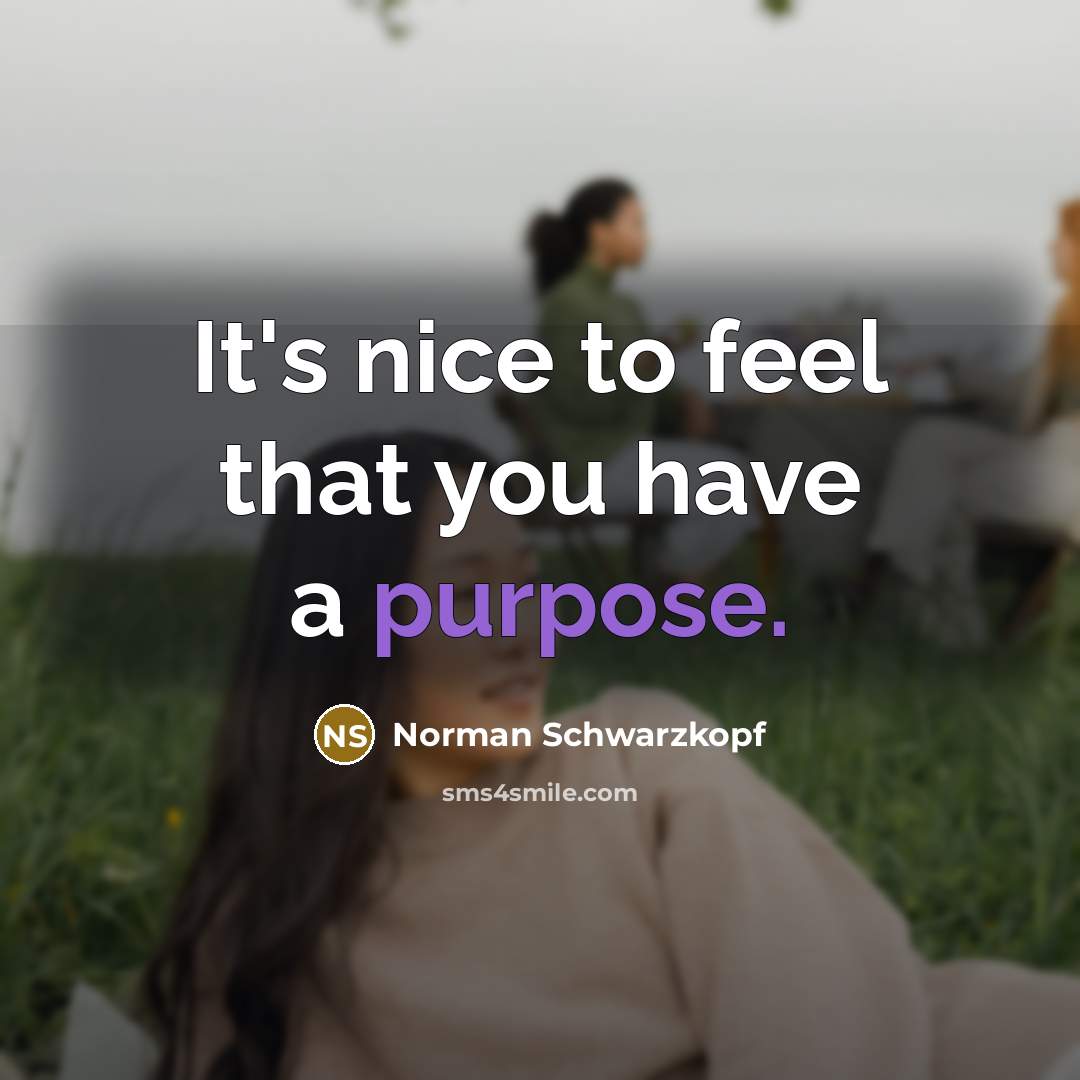 “It's nice to feel that you have a purpose.…” quote by Norman Schwarzkopf