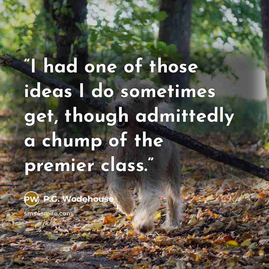 “I had one of those ideas I do sometimes get, though admittedly a chump of the premier class.” quote by P.G. Wodehouse