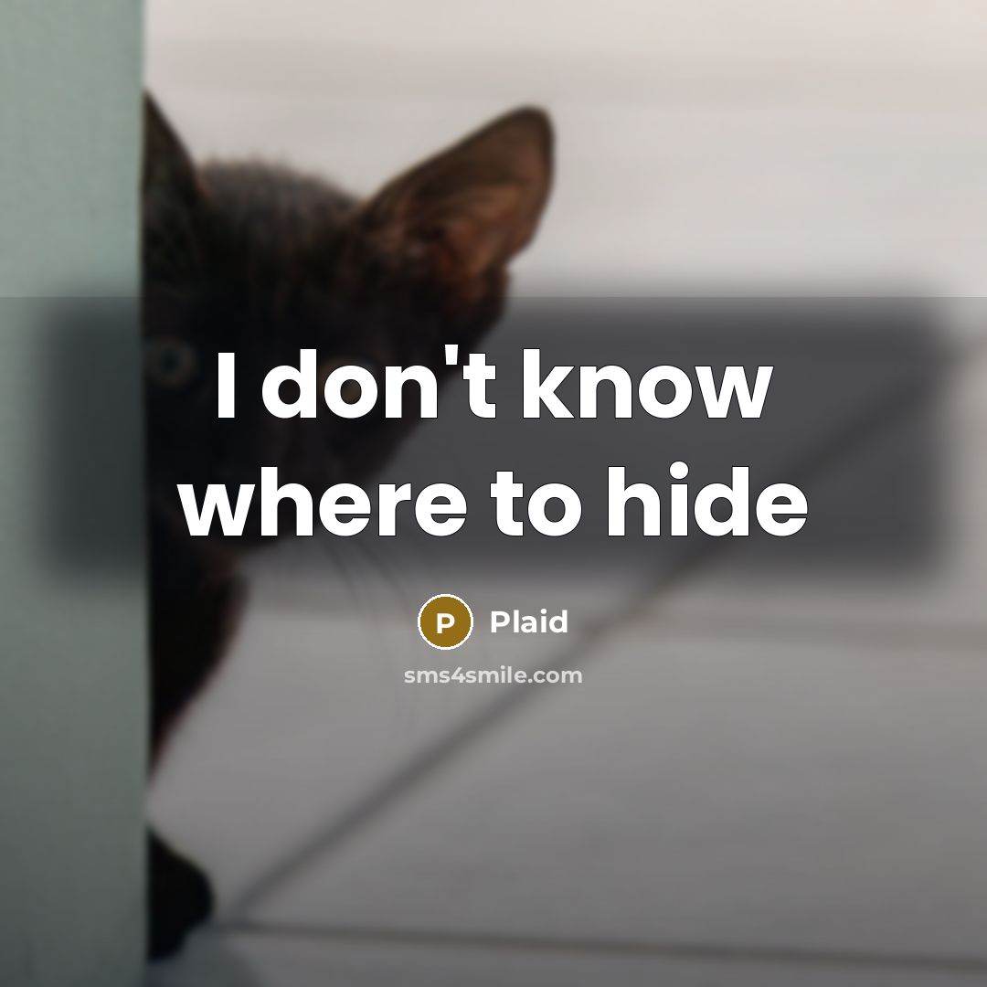 “I don't know where to hide…” quote by Plaid