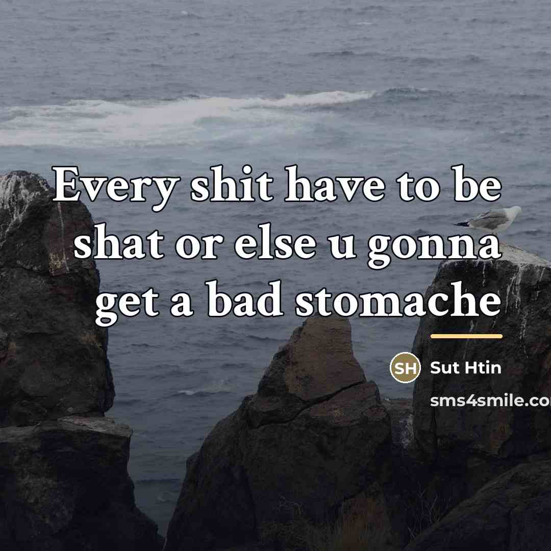 “Every shit have to be shat or else u gonna…” quote by Sut Htin