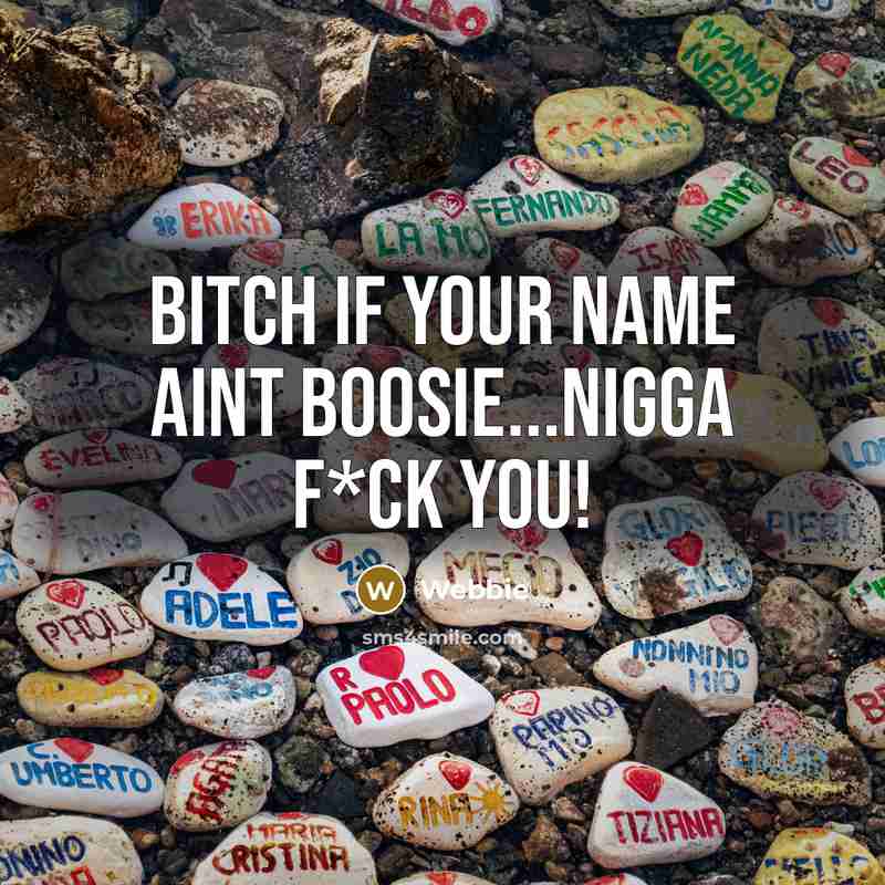 “Bitch if your name aint Boosie...nigga f*ck you!…” quote by Webbie