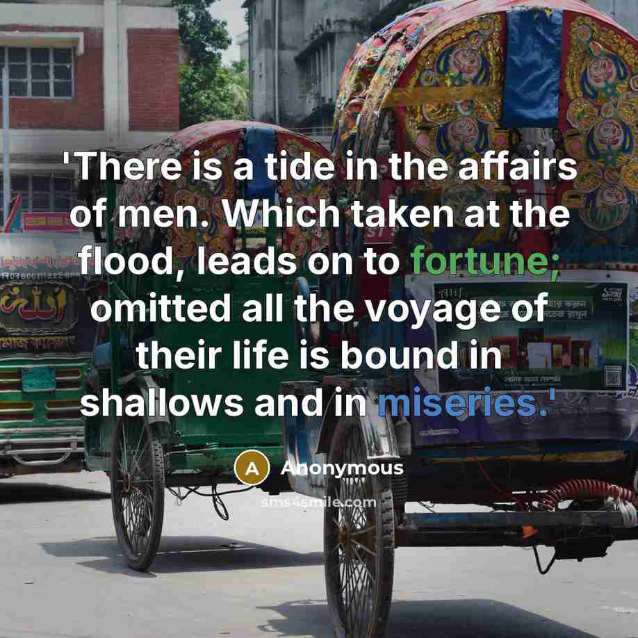 “'There is a tide in the affairs of men. Which taken at the flood, leads on to fortune; omitted all the voyage of their life is bound in shallows and in miseries.'” quote by Anonymous