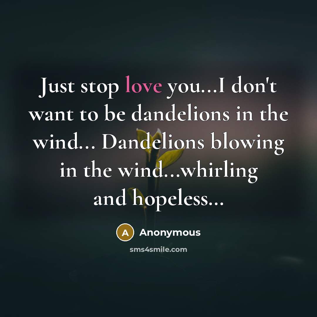 “Just stop love you...I don't want to be dandelions in…” quote by Anonymous