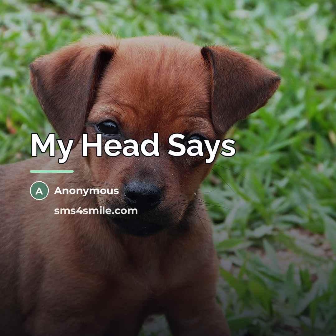 “My Head Says…” quote by Anonymous