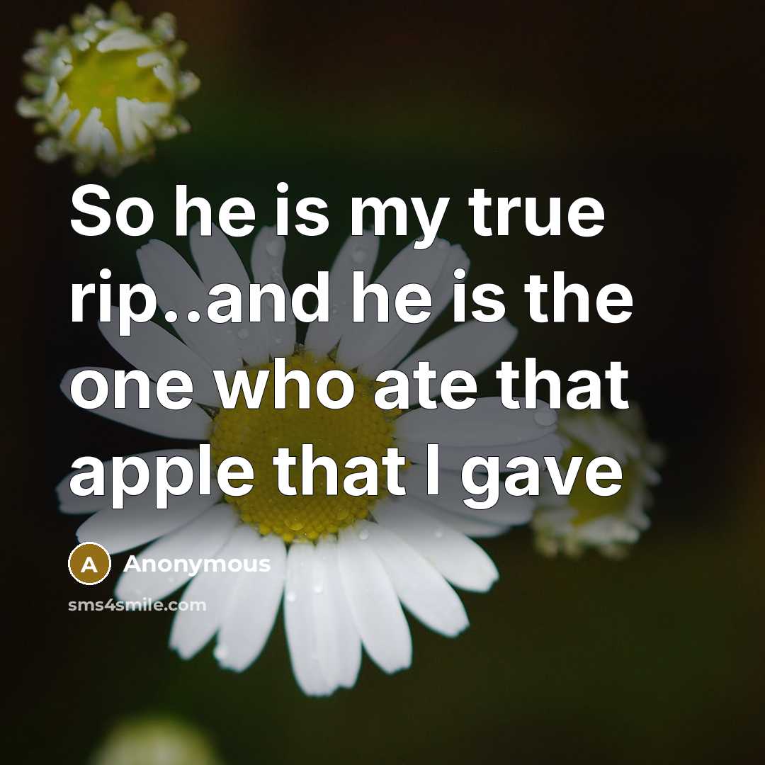 “So he is my true rip..and he is the one who ate that apple that I gave” quote by Anonymous