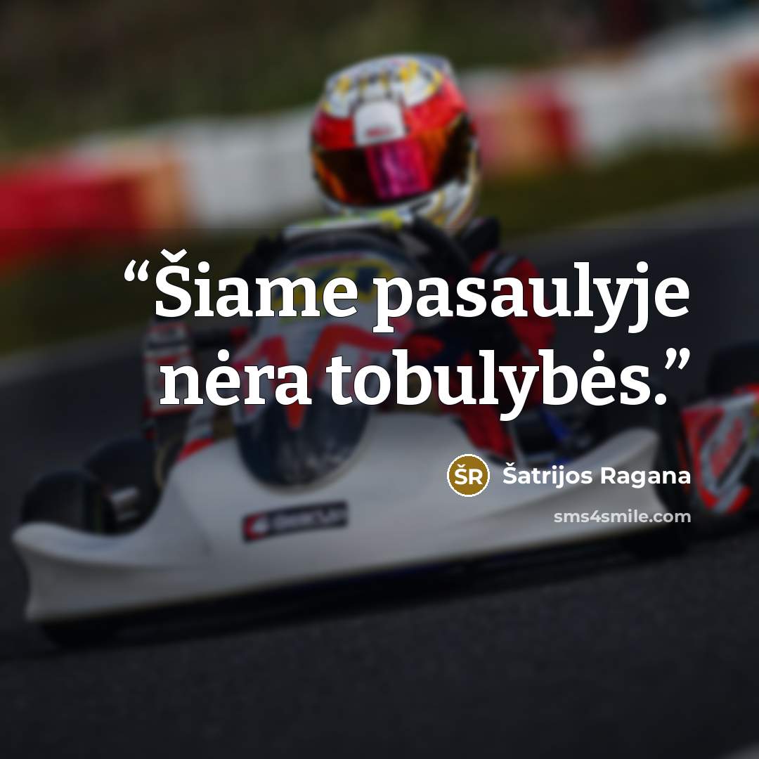“Šiame pasaulyje nėra tobulybės.” quote by Šatrijos Ragana