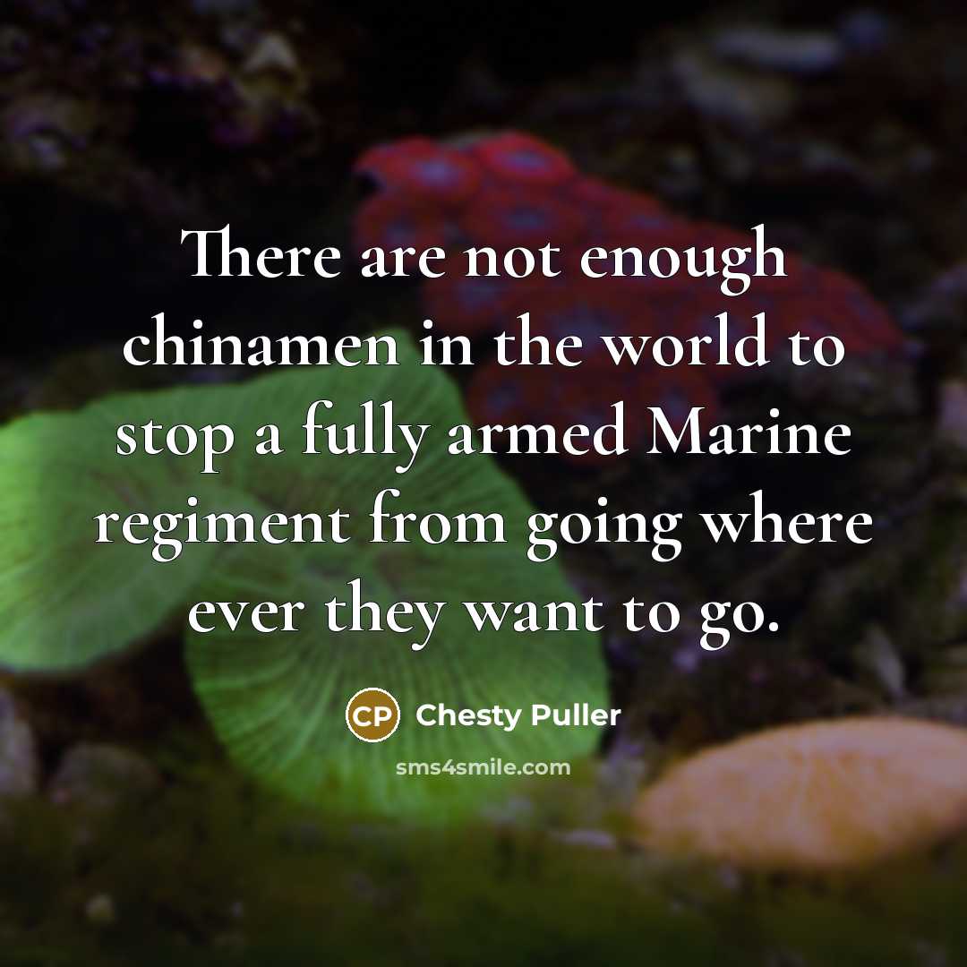 “There are not enough chinamen in the world to stop…” quote by Chesty Puller