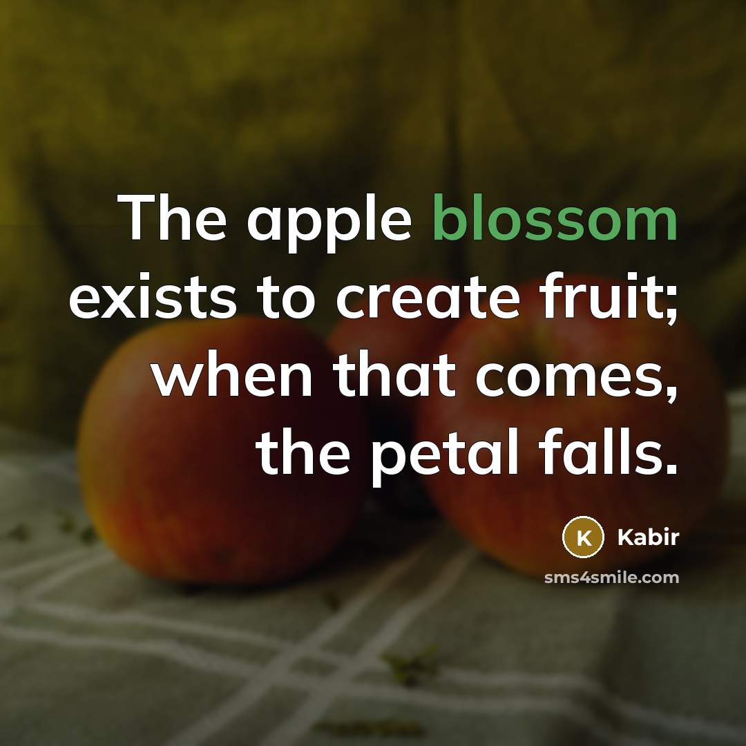 “The apple blossom exists to create fruit; when that comes,…” quote by Kabir