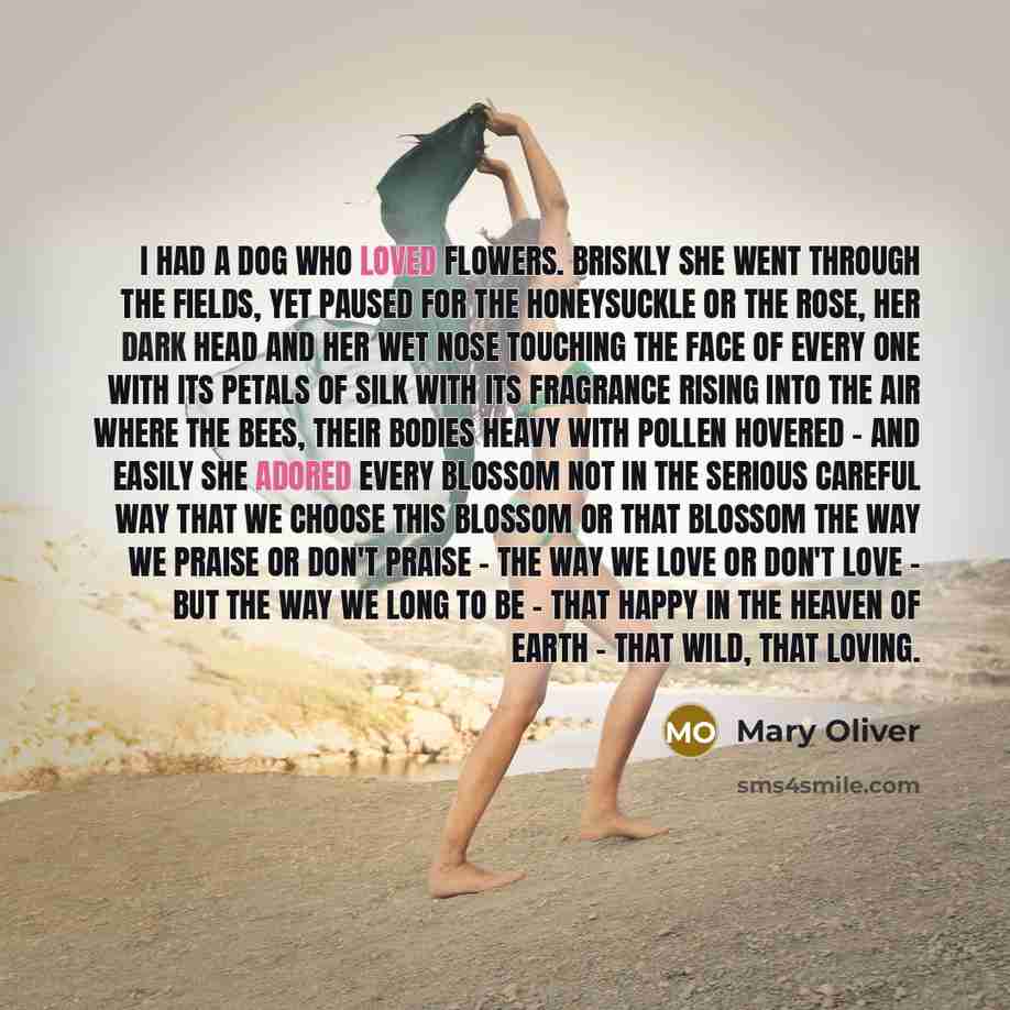 “I had a dog who loved flowers. Briskly she went…” quote by Mary Oliver