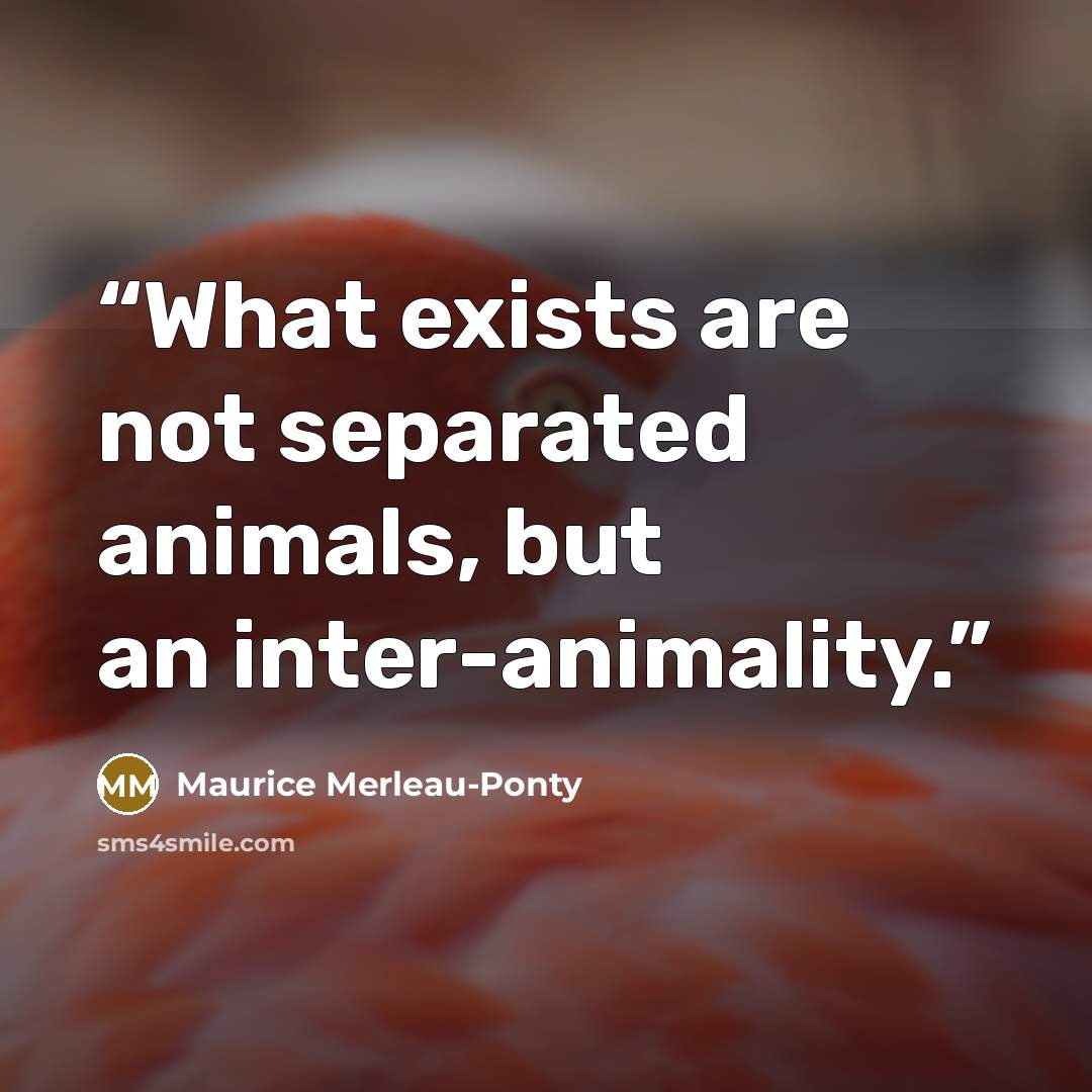 “What exists are not separated animals, but an inter-animality.” quote by Maurice Merleau-Ponty