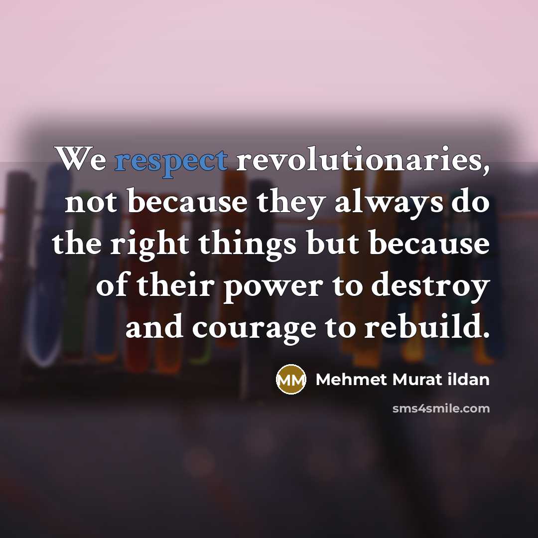 “We respect revolutionaries, not because they always do the right…” quote by Mehmet Murat Ildan