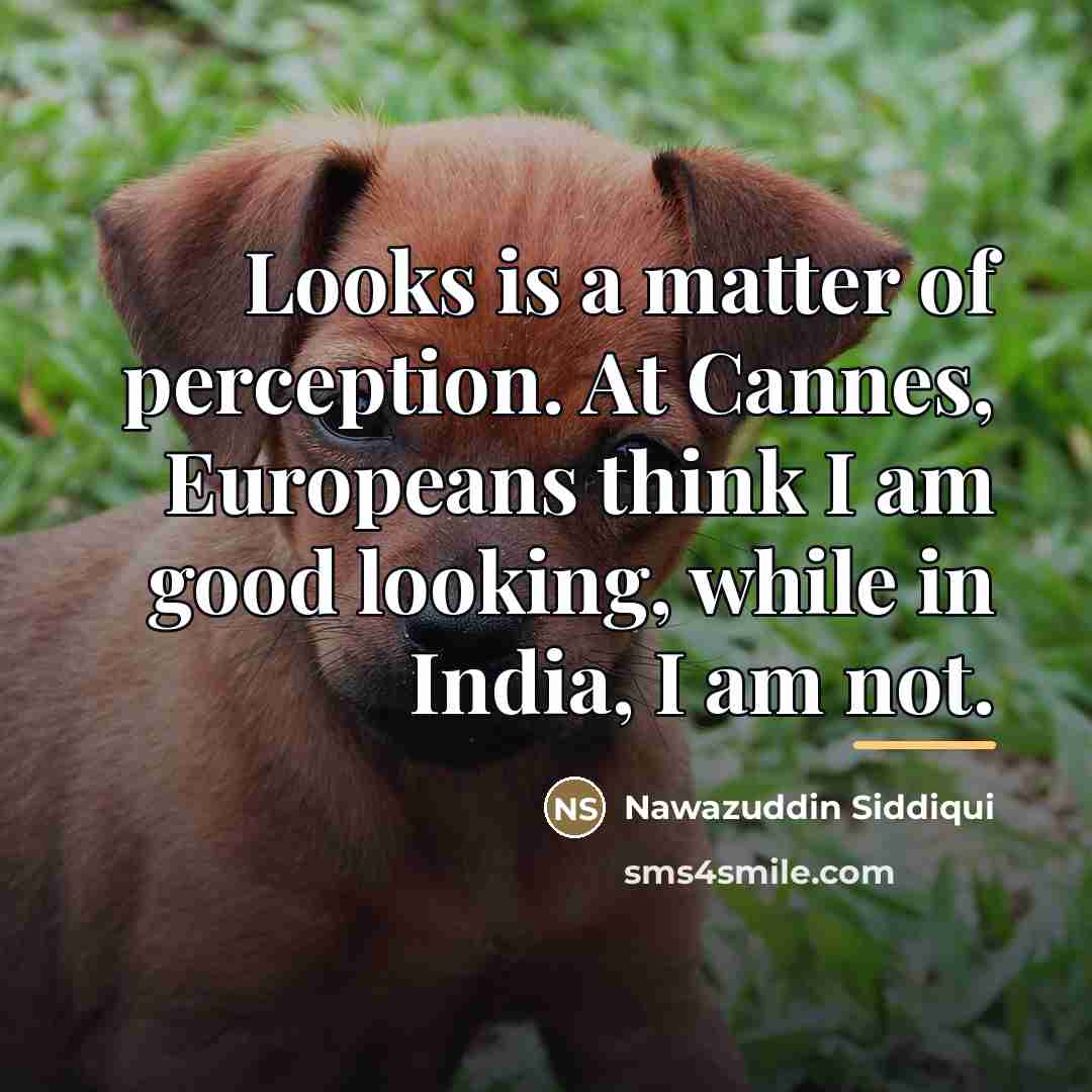 “Looks is a matter of perception. At Cannes, Europeans think…” quote by Nawazuddin Siddiqui
