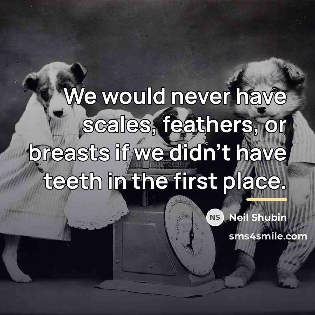 “We would never have scales, feathers, or breasts if we…” quote by Neil Shubin