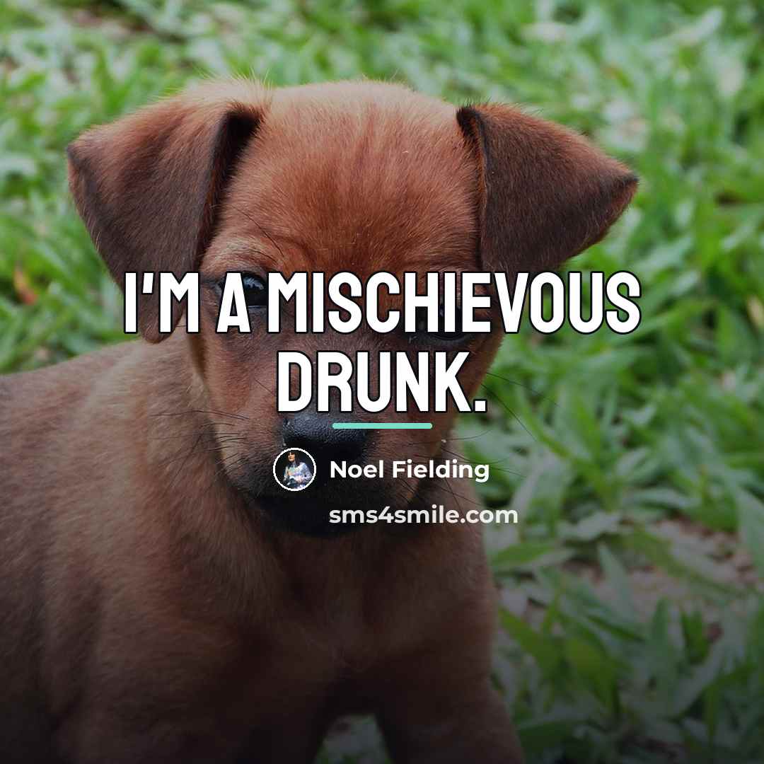 “I'm a mischievous drunk.…” quote by Noel Fielding